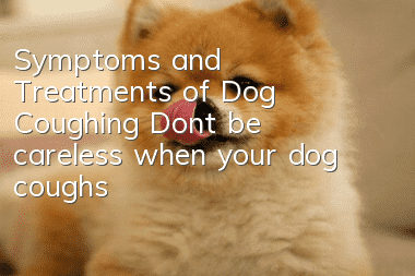 Symptoms and Treatments of Dog Coughing Don’t be careless when your dog coughs!