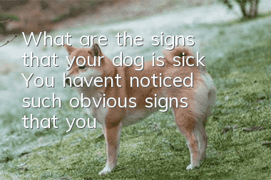 What are the signs that your dog is sick? You haven’t noticed such obvious signs that your dog is sick.