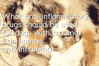 What anti-inflammatory drugs should be used for dogs with trauma? Can human anti-inflammatory drugs be used on dogs?