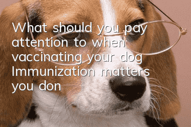 What should you pay attention to when vaccinating your dog? Immunization matters you don’t know