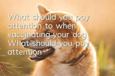 What should you pay attention to when vaccinating your dog? What should you pay attention to when vaccinating your dog?