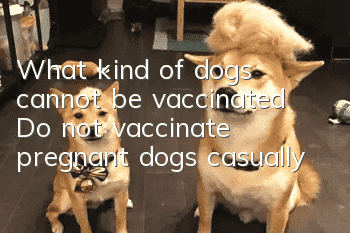 What kind of dogs cannot be vaccinated? Do not vaccinate pregnant dogs casually