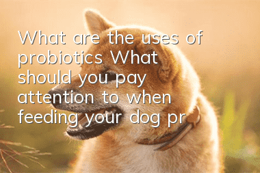 What are the uses of probiotics? What should you pay attention to when feeding your dog probiotics?
