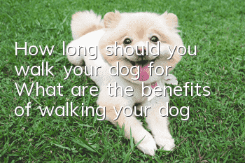 How long should you walk your dog for? What are the benefits of walking your dog?