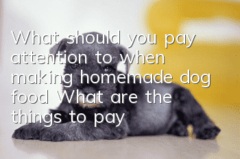 What should you pay attention to when making homemade dog food? What are the things to pay attention to when making homemade dog food?