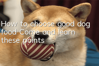 How to choose good dog food? Come and learn these points