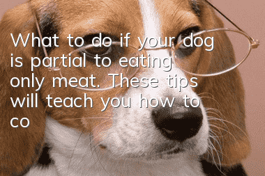 What to do if your dog is partial to eating only meat. These tips will teach you how to correct your dog’s bad habit of being partial to food.