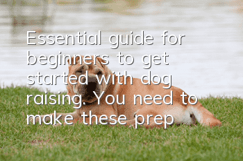 Essential guide for beginners to get started with dog raising. You need to make these preparations!