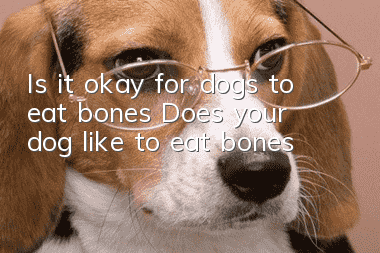Is it okay for dogs to eat bones? Does your dog like to eat bones?