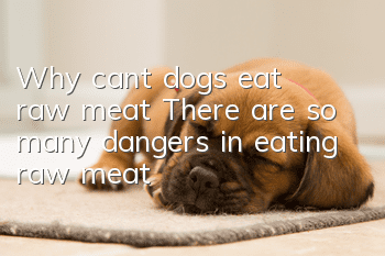 Why can’t dogs eat raw meat? There are so many dangers in eating raw meat