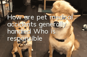 How are pet medical accidents generally handled? Who is responsible?