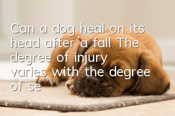 Can a dog heal on its head after a fall? The degree of injury varies with the degree of self-healing.