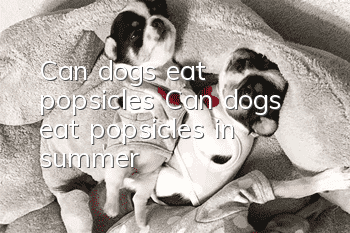 Can dogs eat popsicles? Can dogs eat popsicles in summer?