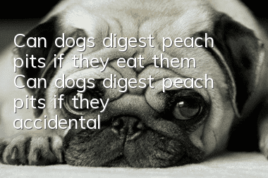 Can dogs digest peach pits if they eat them? Can dogs digest peach pits if they accidentally eat them?
