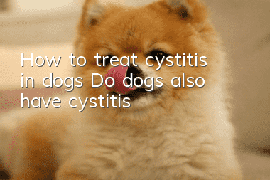 How to treat cystitis in dogs? Do dogs also have cystitis?