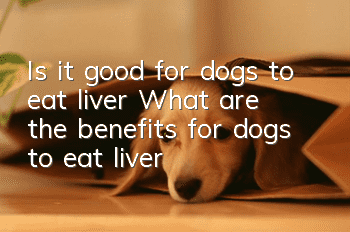 Is it good for dogs to eat liver? What are the benefits for dogs to eat liver?