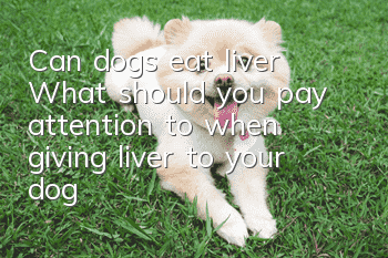 Can dogs eat liver? What should you pay attention to when giving liver to your dog?