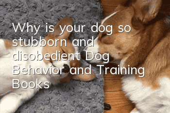 Why is your dog so stubborn and disobedient? Dog Behavior and Training Books!