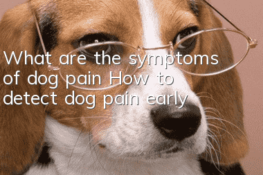What are the symptoms of dog pain? How to detect dog pain early