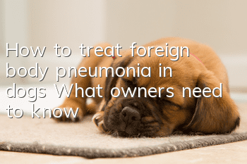 How to treat foreign body pneumonia in dogs? What owners need to know