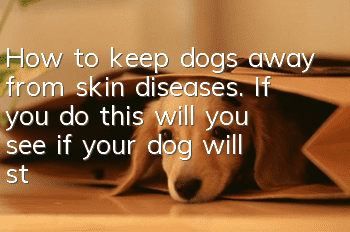 How to keep dogs away from skin diseases. If you do this, will you see if your dog will still be infected with skin diseases?