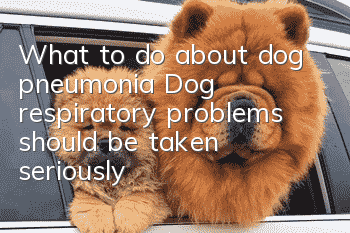 What to do about dog pneumonia? Dog respiratory problems should be taken seriously