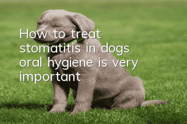 How to treat stomatitis in dogs: oral hygiene is very important