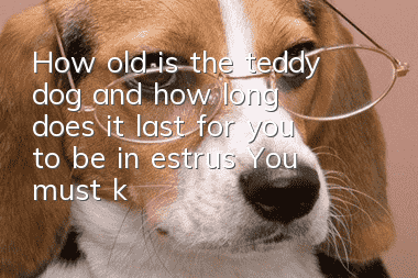 How old is the teddy dog and how long does it last for you to be in estrus? You must know this.