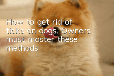 How to get rid of ticks on dogs. Owners must master these methods
