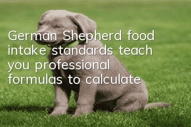 German Shepherd food intake standards teach you professional formulas to calculate