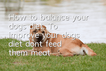 How to balance your dog’s diet. To improve your dog’s diet, don’t feed them meat!