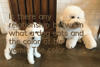 Is there any relationship between what a dog eats and the color of his vomit? The color determines the speed of medical treatment