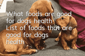 What foods are good for dogs’ health? List of foods that are good for dogs’ health