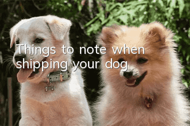 Things to note when shipping your dog