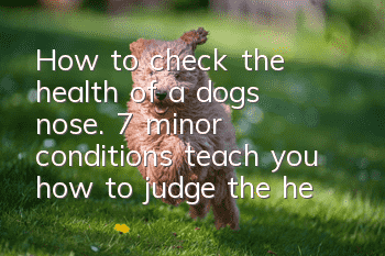 How to check the health of a dog’s nose. 7 minor conditions teach you how to judge the health of a dog from its nose.