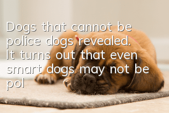 Dogs that cannot be police dogs revealed. It turns out that even smart dogs may not be police dogs.