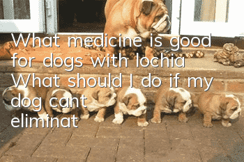 What medicine is good for dogs with lochia? What should I do if my dog can’t eliminate lochia?