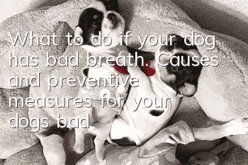 What to do if your dog has bad breath. Causes and preventive measures for your dog’s bad breath.