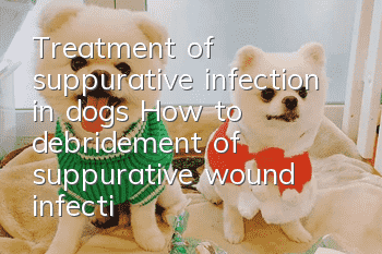 Treatment of suppurative infection in dogs How to debridement of suppurative wound infection