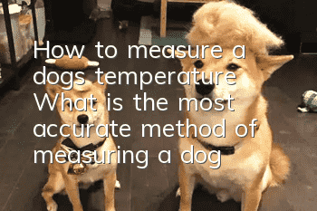 How to measure a dog’s temperature? What is the most accurate method of measuring a dog’s temperature?