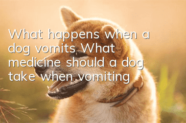 What happens when a dog vomits? What medicine should a dog take when vomiting?