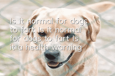 Is it normal for dogs to fart? Is it normal for dogs to fart? Is it a health warning?