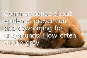 Common sense about epidemic prevention and deworming for greyhounds. How often should greyhounds be dewormed?