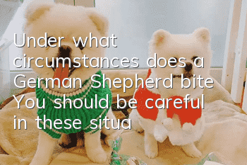 Under what circumstances does a German Shepherd bite? You should be careful in these situations.