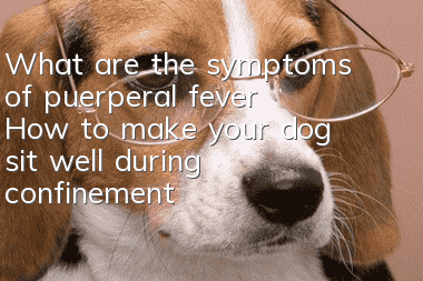 What are the symptoms of puerperal fever? How to make your dog sit well during confinement?