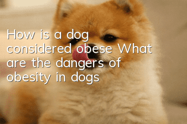 How is a dog considered obese? What are the dangers of obesity in dogs?