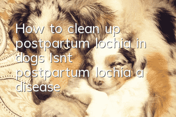 How to clean up postpartum lochia in dogs? Isn’t postpartum lochia a disease?