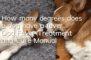 How many degrees does a dog have a fever? Dog Fever Treatment and Care Manual