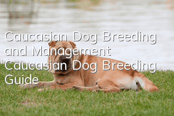 Caucasian Dog Breeding and Management Caucasian Dog Breeding Guide