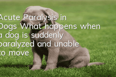 Acute Paralysis in Dogs What happens when a dog is suddenly paralyzed and unable to move?